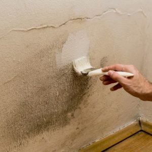 Como pintar una pared con humedad